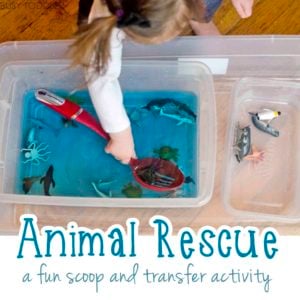 ANIMAL RESCUE: A fun scoop and transfer activity; easy indoor activity; water play activity; life skill activity