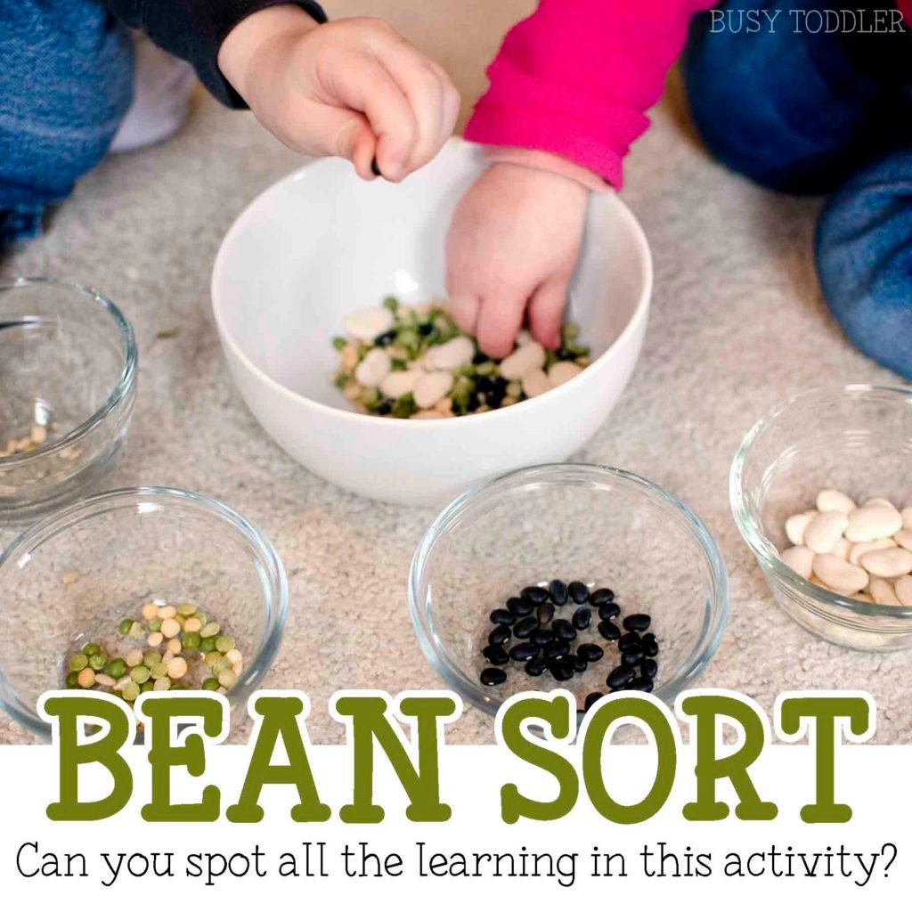 Bean Sort Easy Activity Busy Toddler