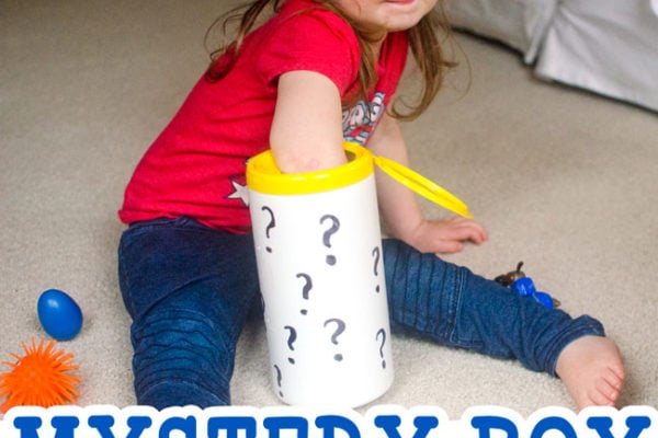 MYSTERY BOX: A quick and easy DIY game; a fun toddler sensory activity; an easy indoor activity for toddlers; five senses activity from Busy Toddler