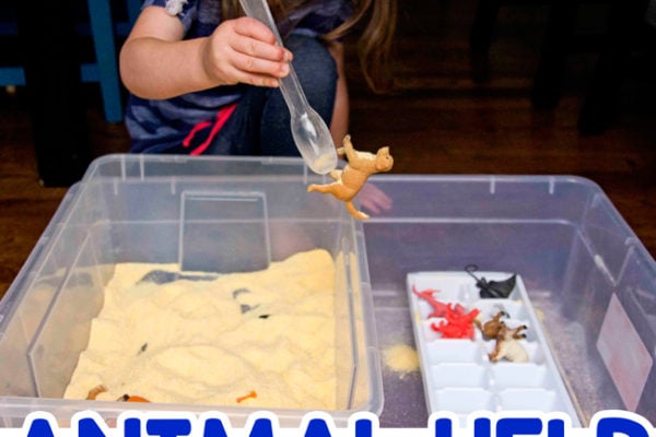 ANIMAL SENSORY BIN: A quick and easy sensory bin for toddlers and preschoolers; fine motor skills activity; cornmeal sensory bin; animal bin; learning about animals; easy indoor activity from Busy Toddler