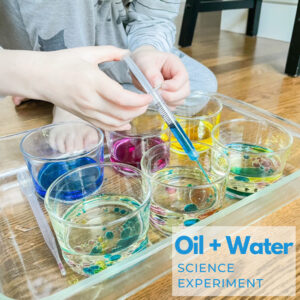 Oil and Water Science Experiment for Kids - Busy Toddler