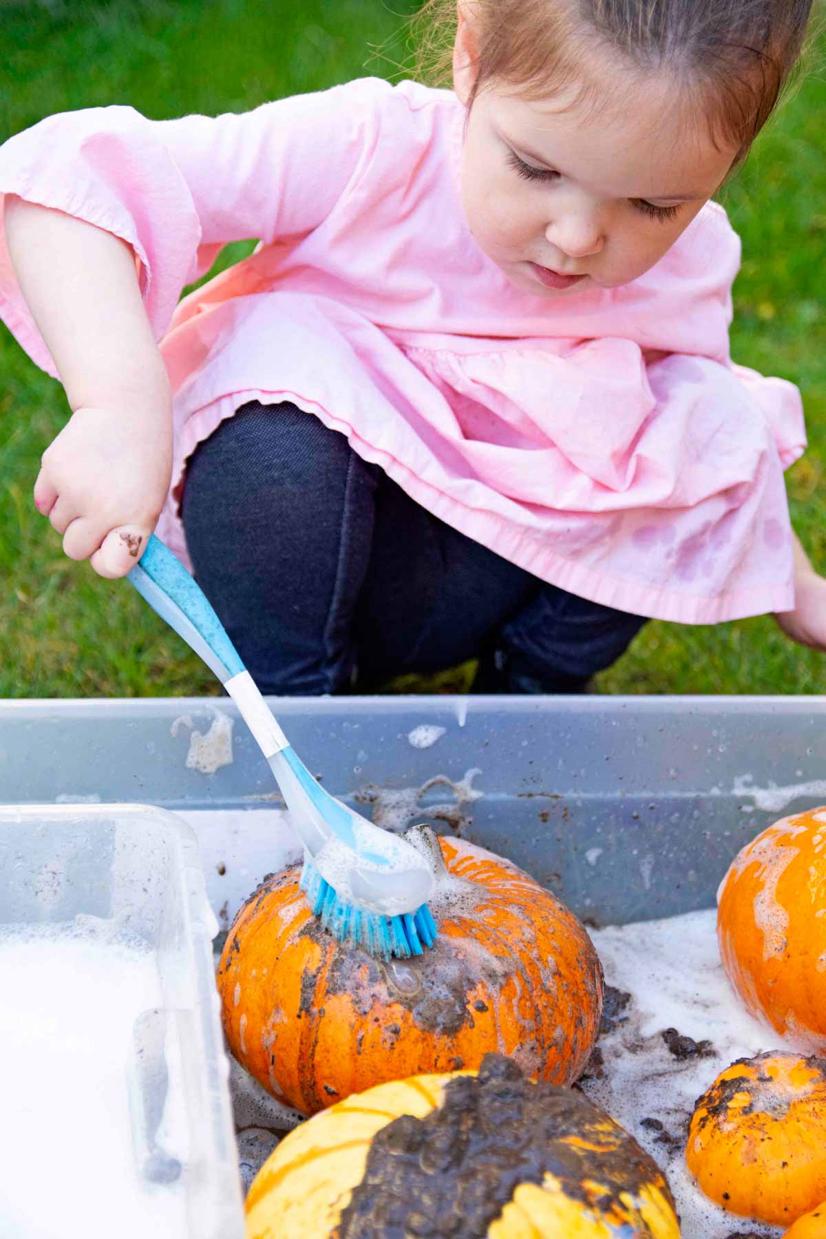 A preschooler in a pink dress holds a blue brush. She is cleaning a muddy pumpkin in a sensory bin.