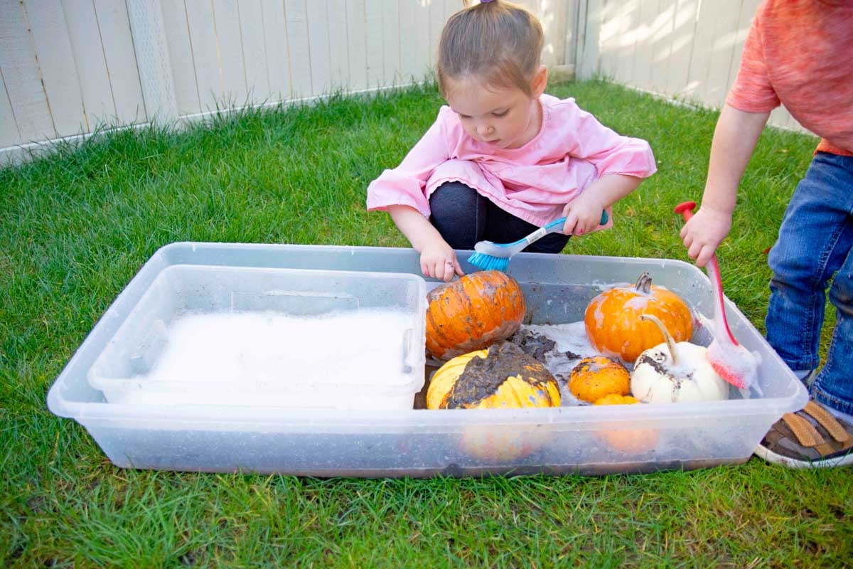A child in a pink dress tips a pumpkin backwards to scrub a muddy pumpkin with a blue brush.