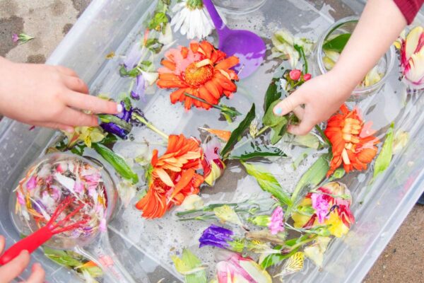 Two sets of kid hands reach into a clear plastic container full of water and flowers. The children are having a sensory play time.