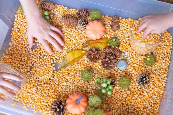 Three kid hands reach in a sensory bin made from popcorn kernels and fake fall decorations.