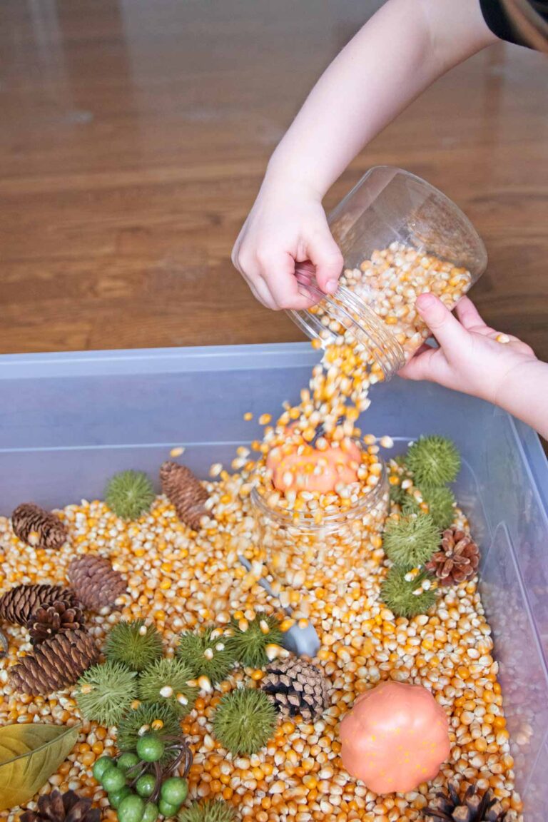 Fall Sensory Bin Busy Toddler