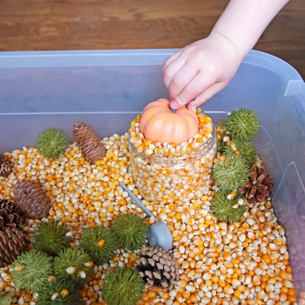Fall Sensory Bin Busy Toddler