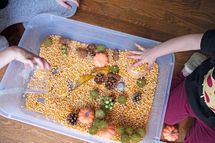 Fall Sensory Bin Busy Toddler