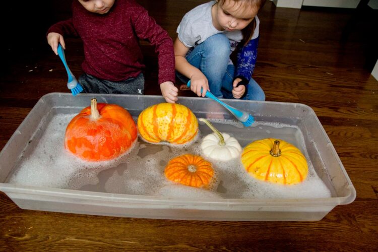 Clean the Pumpkins Fall Toddler Activity Busy Toddler
