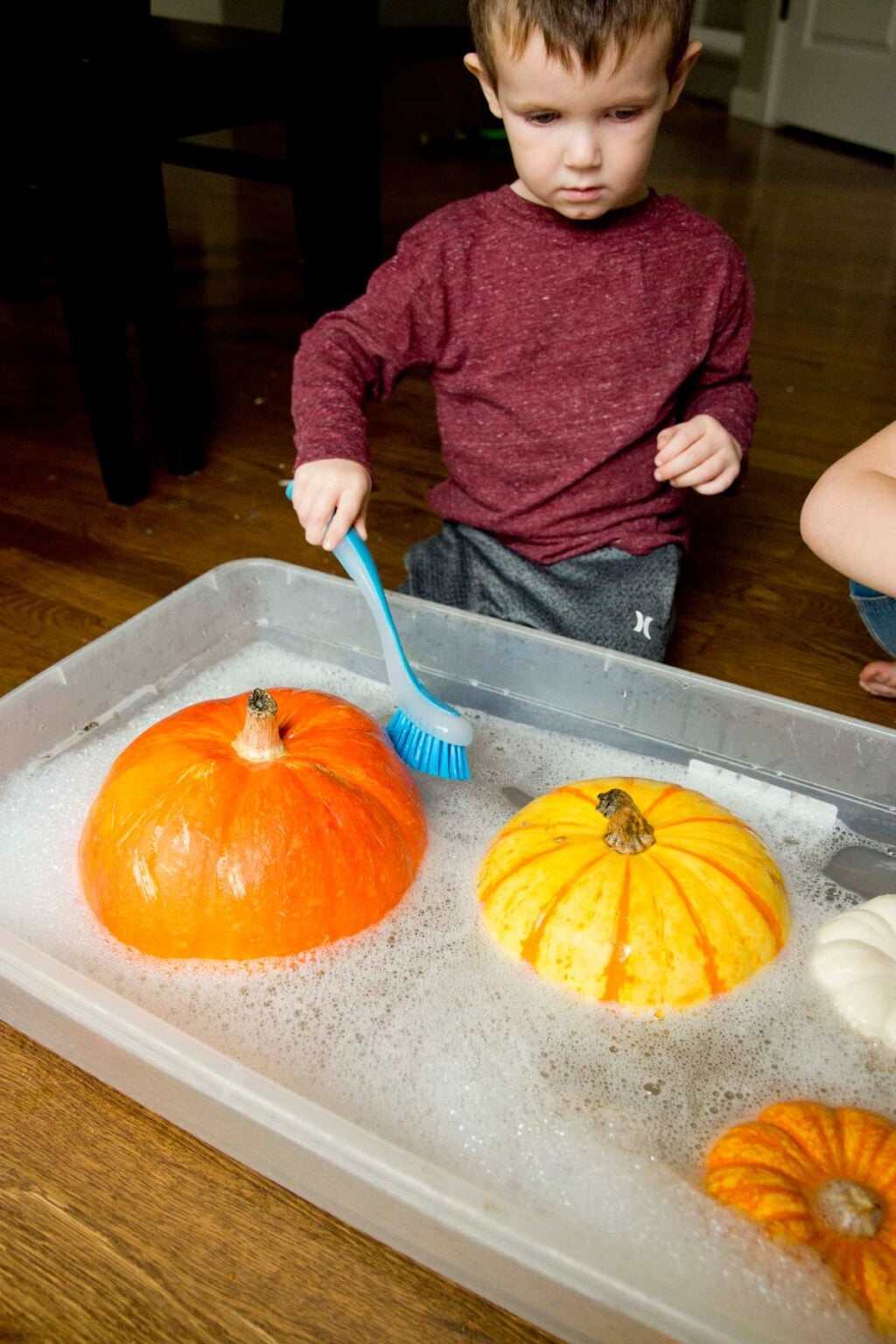 Clean the Pumpkins Fall Toddler Activity - Busy Toddler
