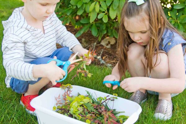 Two children bend over a white dish pan full of leaves. They are cutting with blue scissors.
