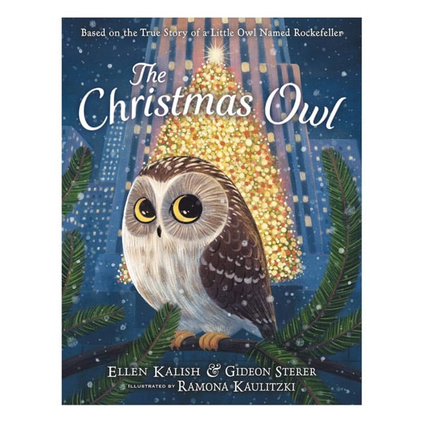 The Christmas Owl